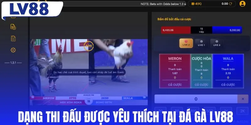 Dạng thi đấu được yêu thích tại đá gà LV88