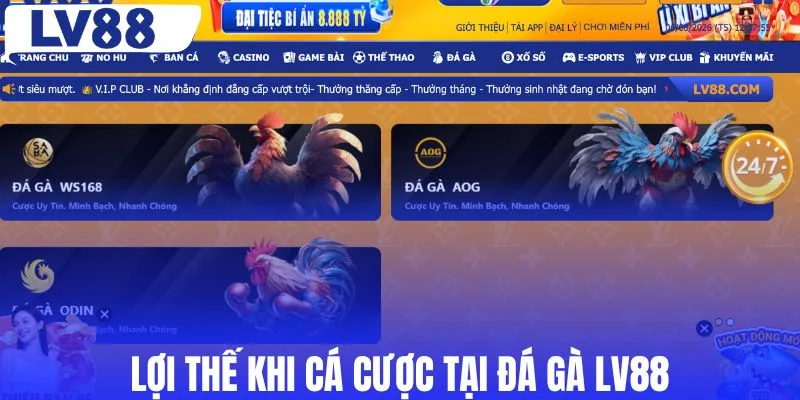 Lợi thế khi cá cược tại đá gà LV88