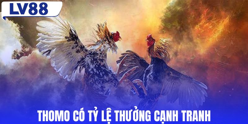 Thomo có tỷ lệ thưởng cạnh tranh